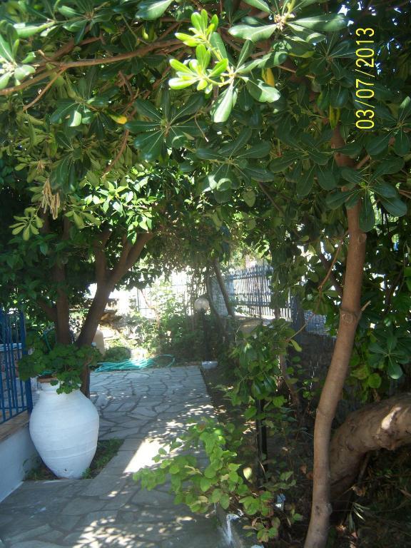 Smile Stella Studios Skopelos Town Room photo